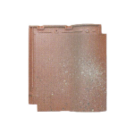 WAVE AM Ⅰ エクリュ.png