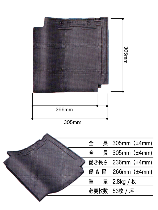 古代いぶし玄武 仕様.png